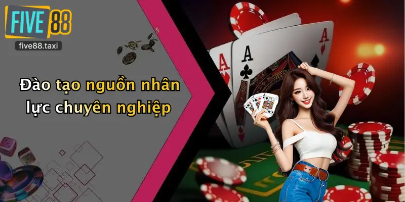 Đào tạo nguồn nhân lực chuyên nghiệp