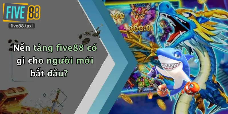 Nền tảng five88 có gì cho người mới bắt đầu?