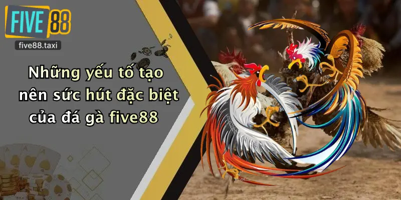 Những yếu tố tạo nên sức hút đặc biệt của đá gà five88