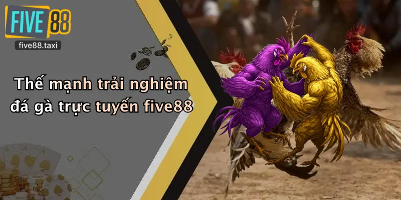 Thế mạnh trải nghiệm đá gà trực tuyến five88